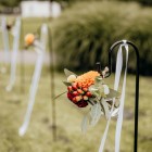 Foto: Freilichtmomente